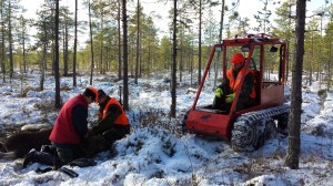 Inget problem att få bytet till slakthuset