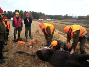 Stefan har fått bössa 03_11_2013