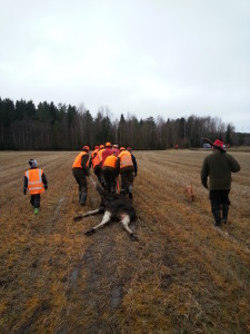 På jämn mark används manskrafter 03_11_2013